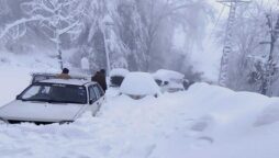 PDMA issues alert of heavy snowfall in Balochistan