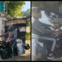 Man selling milk on Harley Davidson goes viral, See people reaction