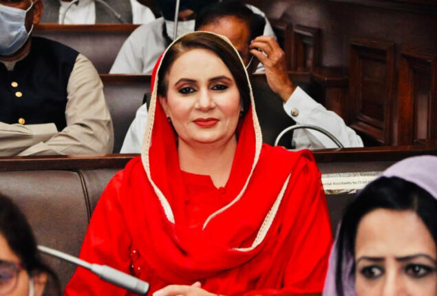 Musarrat Cheema says exports plunged to $2.2 bn