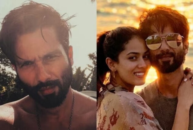 Shahid Kapoor celebrates new year with wife Mira Rajput; See pics