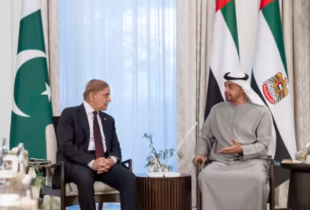 PM Shehbaz Sharif calls on UAE PM and VP Sheikh Mohammed