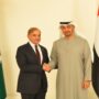 PM Shehbaz Sharif meets UAE President Sheikh Mohamed bin Zayed Al Nahyan