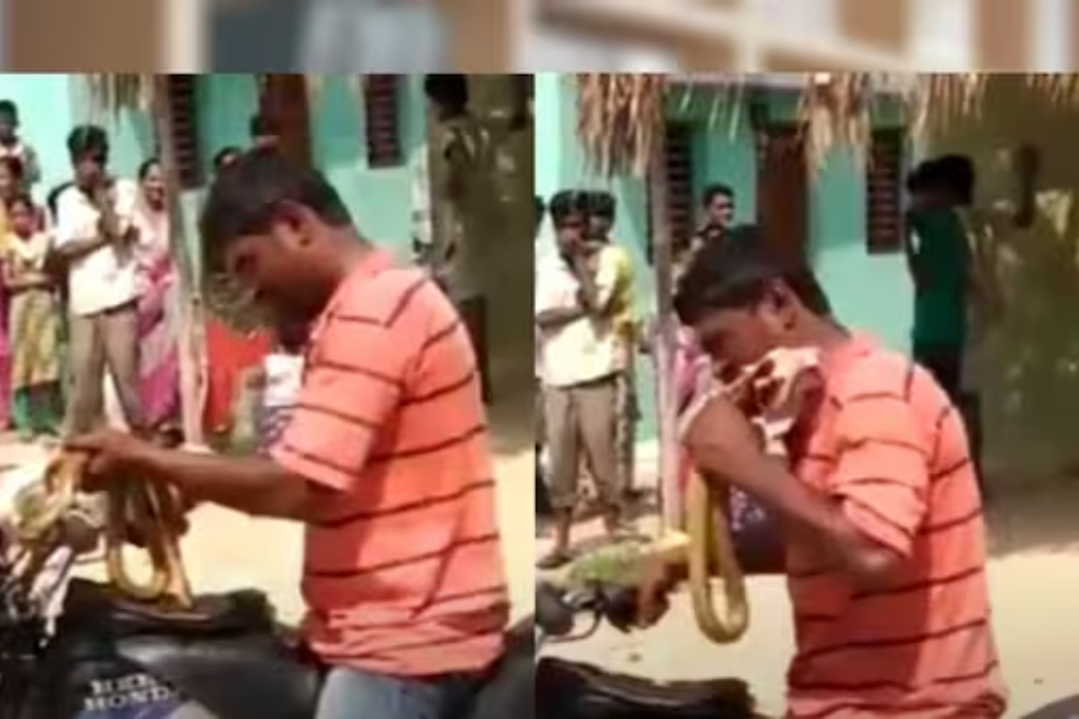 Video of man eating snakes