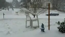 Snowfall
