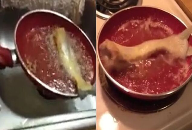 fish comes to life