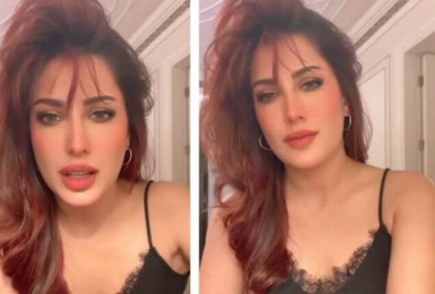 Mehwish Hayat gets trolled for her latest bold video