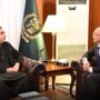 FM Bilawal, Chinese envoy discuss bilateral relations