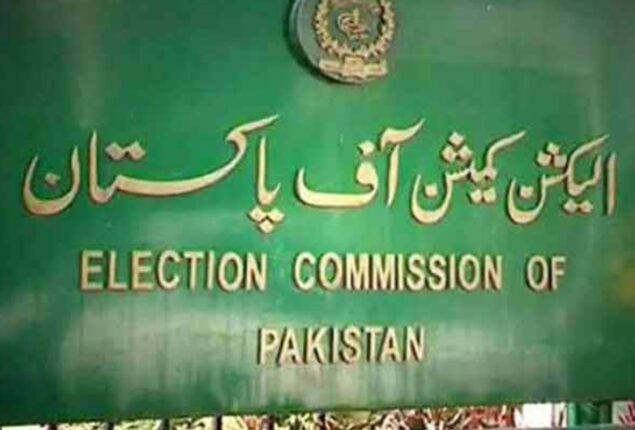 ECP admits delay in releasing LG election results