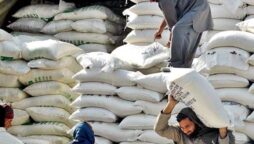 SHC expresses concern over high flour prices
