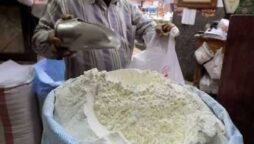 flour price