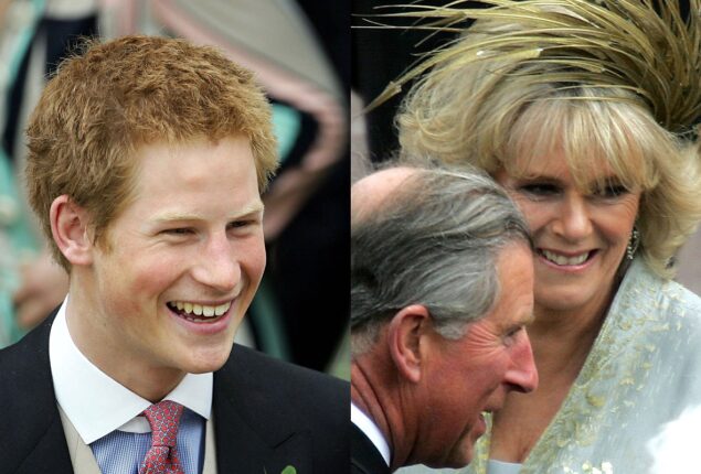 What was going on inside Prince Harry’s head as Camilla walked down the aisle?