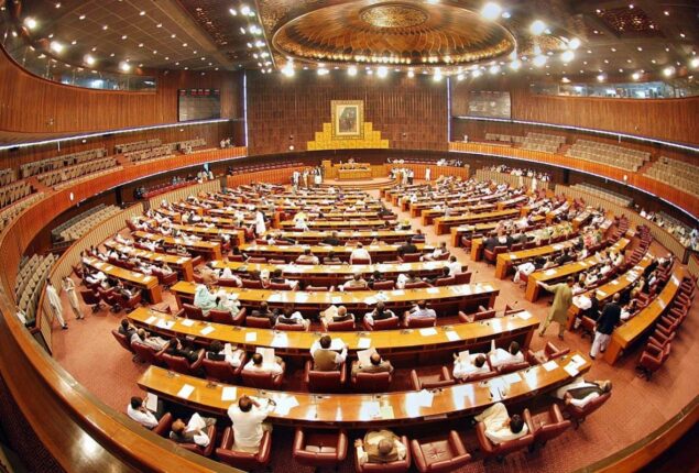 Senate adopts unanimous resolution against desecration of Holy Quran in Sweden, Netherlands