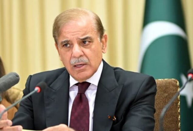 PM urges political unity against anti-Pakistan elements