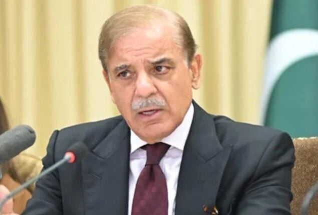 PM to seek support at ‘Resilient Pakistan’ conference in Geneva