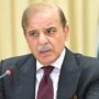 PM to seek support at ‘Resilient Pakistan’ conference in Geneva