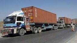 Goods transporters