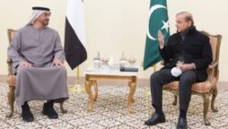 PM, UAE President resolve to enhance bilateral relations