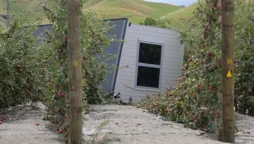 Cyclone Gabrielle