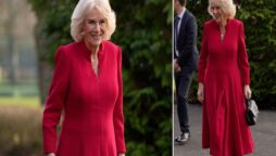 Camilla dazzles as she plays first duty in royal role vacated by Andrew