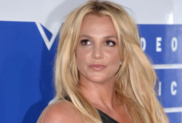 Britney Spears receives an Animal Control warning after her dog escapes