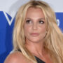 Britney Spears receives an Animal Control warning after her dog escapes