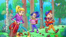 Optical Illusion: Spot the hidden umbrella in the forest in 7 sec