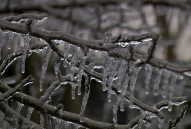 Northeast United States and Canada brace for ‘epic’ Arctic blast