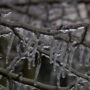 Northeast United States and Canada brace for ‘epic’ Arctic blast