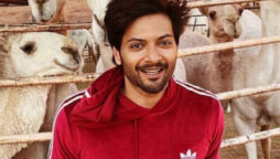 Ali Fazal