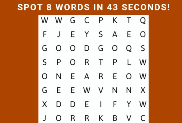 Word Search Puzzle