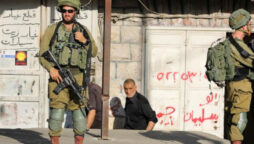 Palestinian