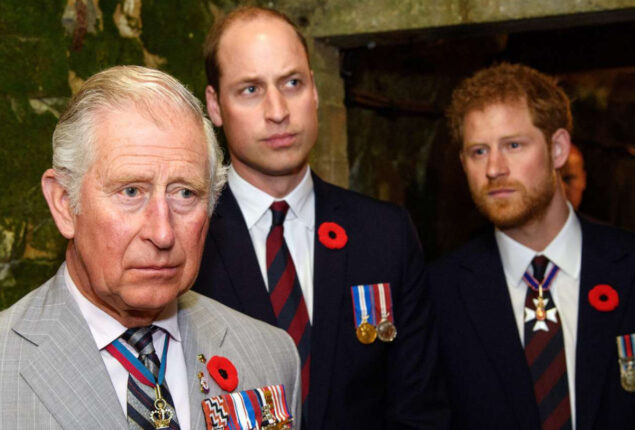 Prince Harry reveals how King Charles ‘controlled’ his and Prince William budget
