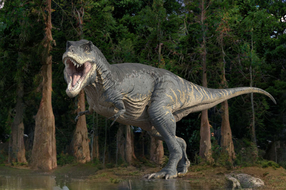 dinosaur