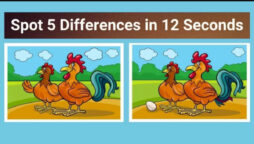 Spot The Difference: Find 5 differences between the two pictures in 12 seconds