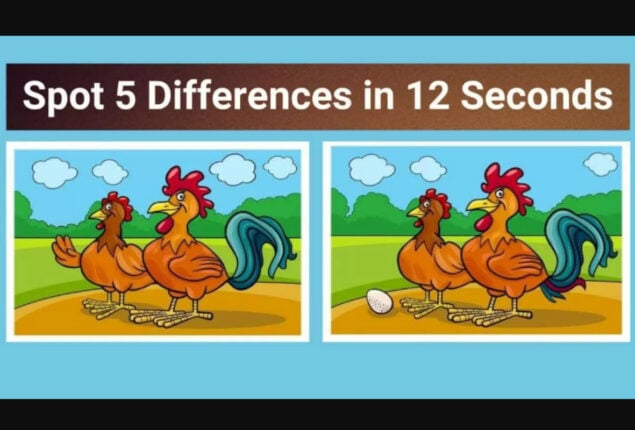 Spot The Difference: Find 5 differences between the two pictures in 12 seconds