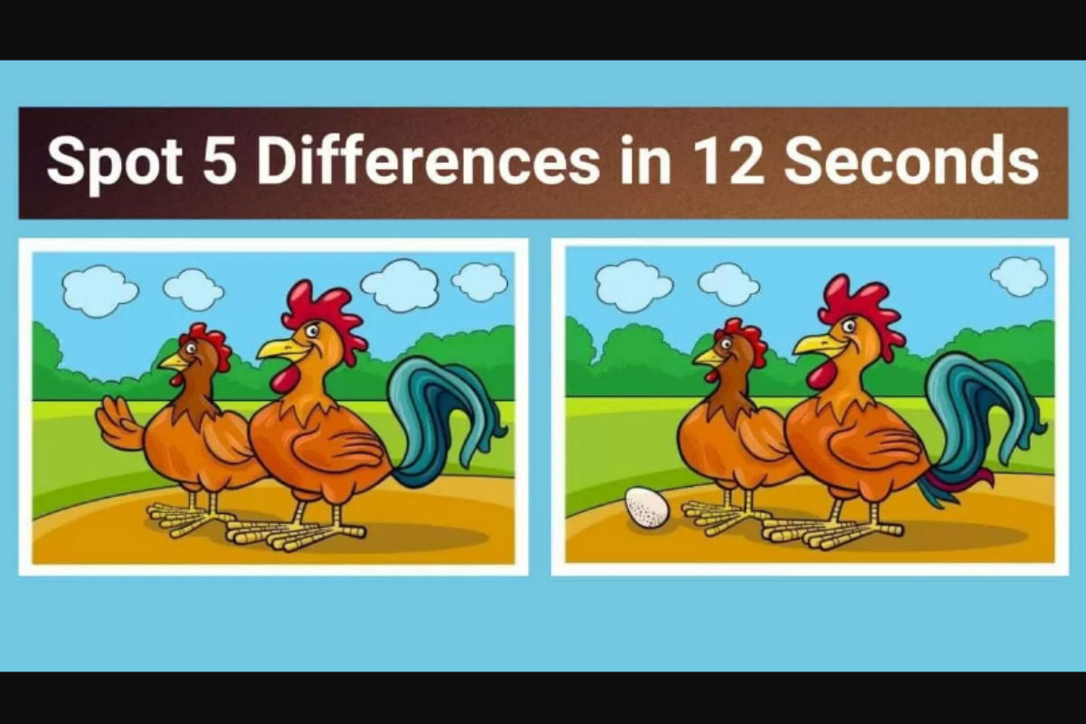 Spot The Difference
