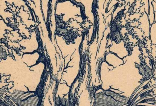 Optical Illusion: Spot hidden faces of 2 Greek Gods & 1 Human in 15 secs!
