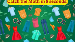 Brain Teaser: Catch the Pesky Moth in the Closet in 8 Seconds!
