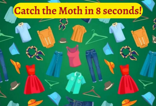 Brain Teaser: Catch the Pesky Moth in the Closet in 8 Seconds!