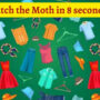 Brain Teaser: Catch the Pesky Moth in the Closet in 8 Seconds!