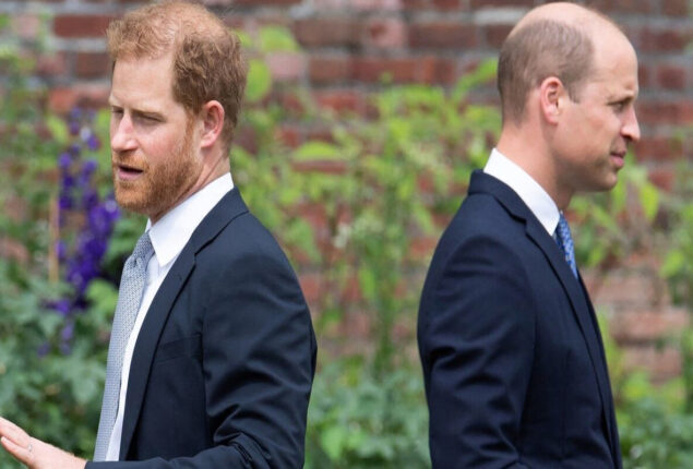 Prince William wanted the Africa project from Prince Harry