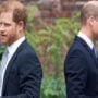 Prince William wanted the Africa project from Prince Harry