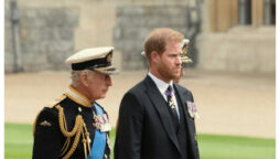 Prince Harry’s visit at King’s coronation may raise questions about his role