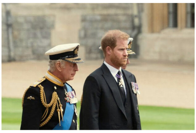 Prince Harry’s visit at King’s coronation may raise questions about his role