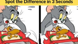Spot The Difference: Find the difference between the two images