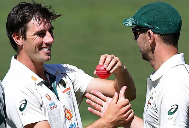 Cummins and Hazlewood flies home out of India tour