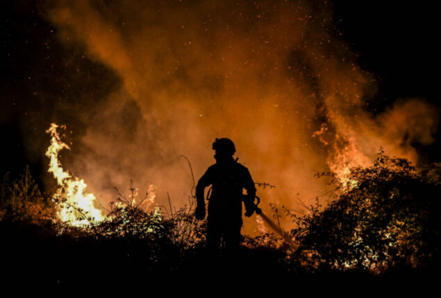 Chile forest fires provoke state of disaster