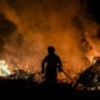 Chile forest fires provoke state of disaster