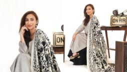 Anoushey Ashraf flaunts her desi style in stunning outfit