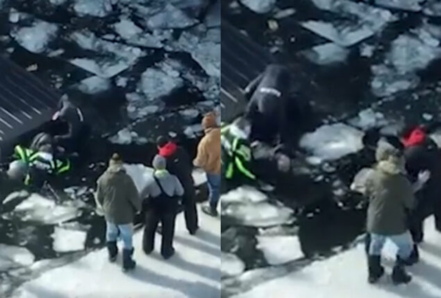 Watch: A boy dives into an icy lake to save an old man and his dog